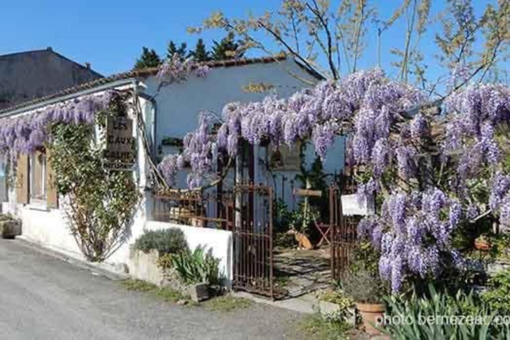 Maison Coquelicots - 4 Personnes - Jardin Mornac-sur-Seudre Екстериор снимка